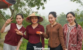 Phiên chợ ném cà chua 'độc nhất vô nhị' ở xứ Thanh