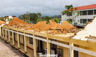 Bão số 10 di chuyển nhanh, Thanh Hóa cho học sinh nghỉ học