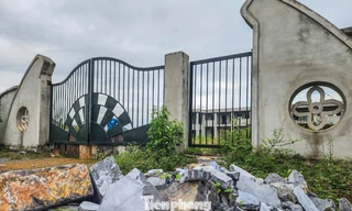 Cỏ mọc um tùm trong trường mầm non gần xây xong lại bỏ dở