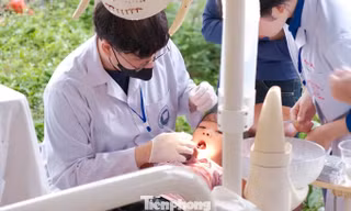 Khám, phát thuốc miễn phí cho hơn 1.500 người ở Nghệ An