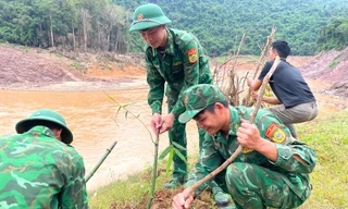 Trồng tre chống sạt lở, giúp dân bản biên giới có sinh kế phát triển kinh tế