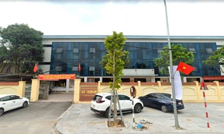 Chi Cục Kiểm lâm Nghệ An bị yêu cầu kiểm điểm vì vắng mặt trong hội nghị quan trọng