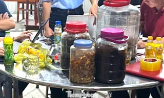 Xác định nguyên nhân vụ 6 người hôn mê sau khi uống rượu ngâm cây rừng