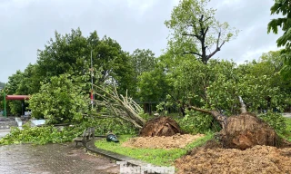 Trả lại không gian linh thiêng của di tích Truông Bồn sau bão