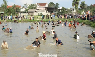 Xuống ruộng thi nơm cá lấy lộc đầu năm mới ở Nghệ An