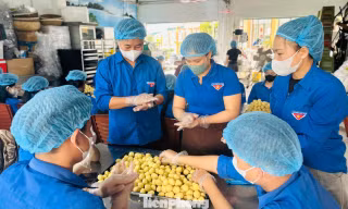 Thanh niên làm bánh, bán hàng gây quỹ 'Đông ấm - Xuân yêu thương'