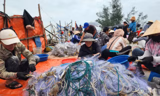 Vươn khơi sau mưa lũ, ngư dân trúng đậm ghẹ biển, thu hàng triệu đồng