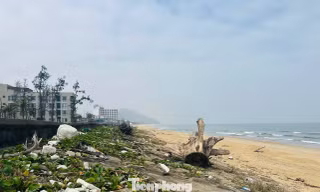 Bãi biển Thiên Cầm ngập rác 