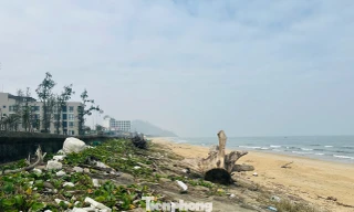 Bãi biển Thiên Cầm ngập rác 