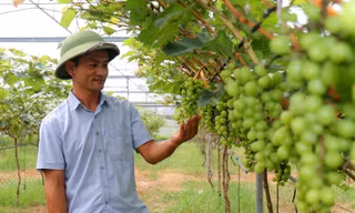 Hành trình làm giàu trên mảnh đất cằn của anh nông dân Hà Tĩnh