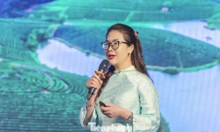 Để Nghệ An thành trung tâm du lịch Bắc Trung bộ 