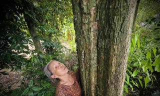 Bà Nguyễn Thị Đào bên gốc cây cổ thụ trong khu rừng mà dòng họ gìn giữ, bảo vệ.