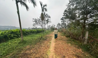 6 hộ dân đồng lòng hiến 900m2 đất làm đường cho hàng xóm khó khăn