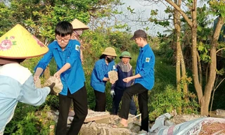 Tuổi trẻ Hà Tĩnh thực hiện nhiều hoạt động ý nghĩa Ngày Chủ nhật xanh