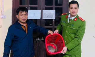 Phát hiện động vật quý hiếm trong Sách đỏ tại... chợ ở Hà Tĩnh