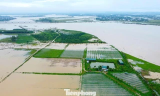 Bị bão quét sạch hoa màu, cả hợp tác xã trắng tay