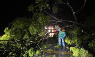  Nghệ An: Cây đổ, nhà sập, 5 người thương vong do ảnh hưởng cơn bão số 3