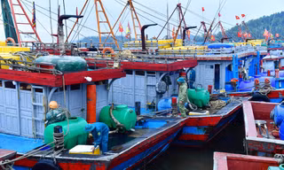 Quảng Ninh, Nghệ An, Hà Tĩnh, Thanh Hóa cấm biển ứng phó bão số 10 Bualoi