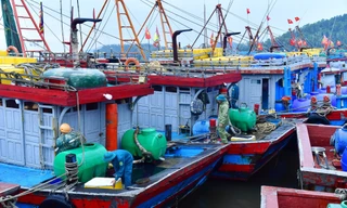 Quảng Ninh, Nghệ An, Hà Tĩnh, Thanh Hóa cấm biển ứng phó bão số 10 Bualoi