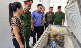 Khởi tố đối tượng giết mổ, tiêu thụ thịt lợn nhiễm dịch tả châu Phi