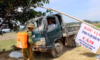 Nghệ An tiêu hủy 660 tấn lợn nhiễm bệnh, tỷ lệ tiêm vắc-xin thấp