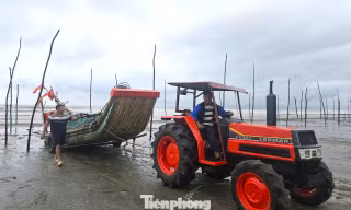 Ngư dân hối hả kéo ‘cần câu cơm’ về nhà tránh bão số 10 