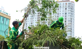 Công nhân môi trường dọn hơn 2.000 tấn rác/ngày sau bão 