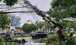 Nhiều cột điện ở Nghệ An gãy đổ sau bão số 5