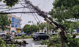 Nhiều cột điện ở Nghệ An gãy đổ sau bão số 5