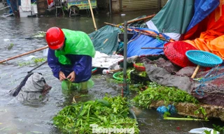 Chợ đầu mối nông sản lớn nhất Nghệ An ngập sâu 