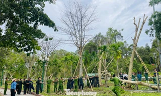 'Vượt nắng, thắng mưa' giúp dân khắc phục hậu quả bão số 5