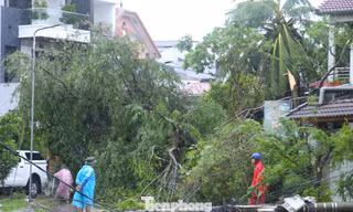 Nghệ An ngổn ngang sau bão số 5 