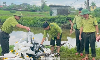 Tháo dỡ ‘thiên la địa võng’, ma trận bẫy chim mùa di cư