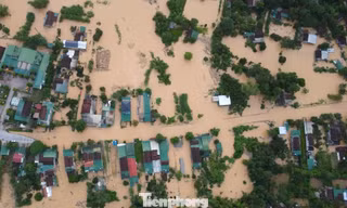 Nhiều xã ở hạ du Nghệ An ngập nặng, nước dâng tận nóc nhà