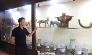 'Thế giới thu nhỏ' giữa đại ngàn Pù Huống