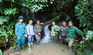 Pù Huống – 'kho báu' 46.000ha hé lộ bí mật rừng già nhờ công nghệ và cộng đồng