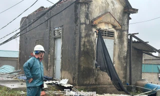 Loạt nhà tốc mái, cây gãy đổ ở Hà Tĩnh trước bão số 5