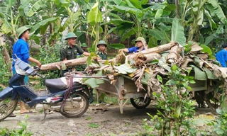 Sinh viên tình nguyện hỗ trợ người dân khắc phục hậu quả mưa bão