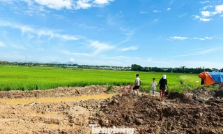 Đặc biệt, tại các vị trí này, trẻ em dễ dàng đi vào bên trong công trường chơi đùa, đối diện nguy cơ tai nạn bất cứ lúc nào.