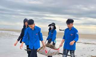 Tuổi trẻ Hà Tĩnh thu gom rác, làm sạch bãi biển sau bão số 3