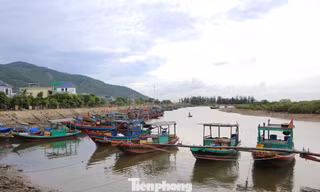 Hàng trăm tàu thuyền vào neo đậu tránh trú bão số 10