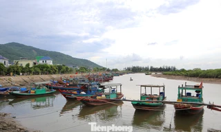 Hàng trăm tàu thuyền vào neo đậu tránh trú bão số 10