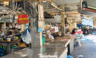 Nhiều sạp hàng đóng cửa vì dịch tả lợn châu Phi