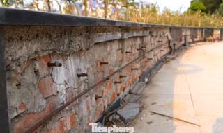 Phố đi bộ ở Nghệ An xuống cấp, đá ốp bong tróc, lộ cốt thép