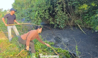 Dân lo lắng khi nước suối bất ngờ chuyển màu đen đặc vì ô nhiễm