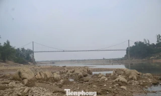 Nghệ An: Mực nước sông Con xuống thấp, nhiều trụ cầu trơ móng 