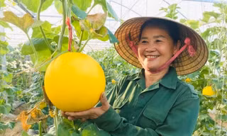 Nghệ An tích cực đưa nghị quyết vào cuộc sống