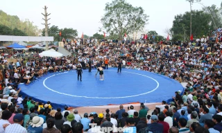 Xem trai làng phô diễn sức mạnh trên sới vật