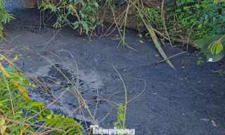  Tin mới vụ nước suối chuyển màu đen đặc ở Nghệ An