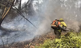 Nắng nóng cực đoan, cháy rừng dồn dập ở Nghệ An